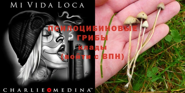 трава Алексин